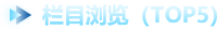 栏目浏览（top5）